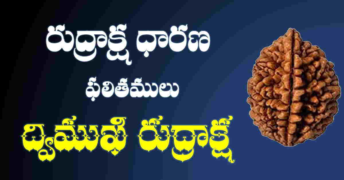 2 mukhi rudraksha benefits in telugu