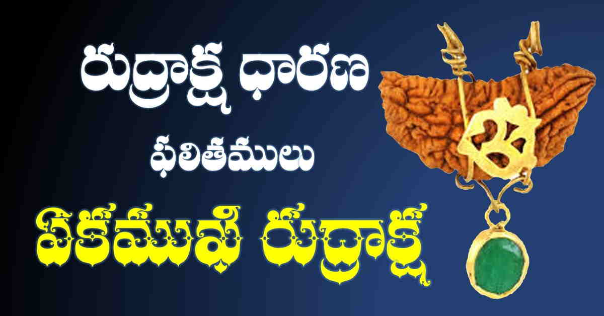 ek mukhi rudraksha benefits in telugu