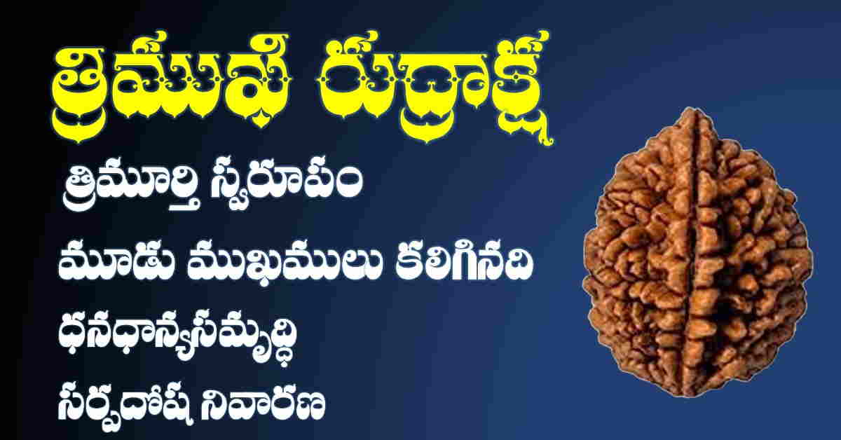 3 mukhi rudraksha benefits in telugu